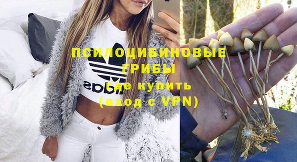 индика Арсеньев