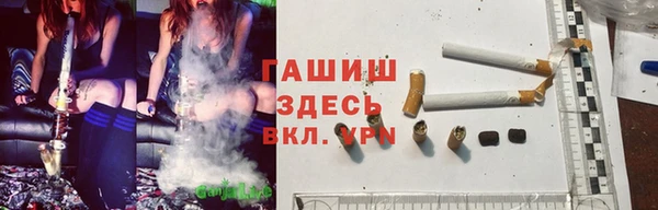индика Арсеньев